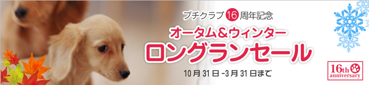 オータムーセール