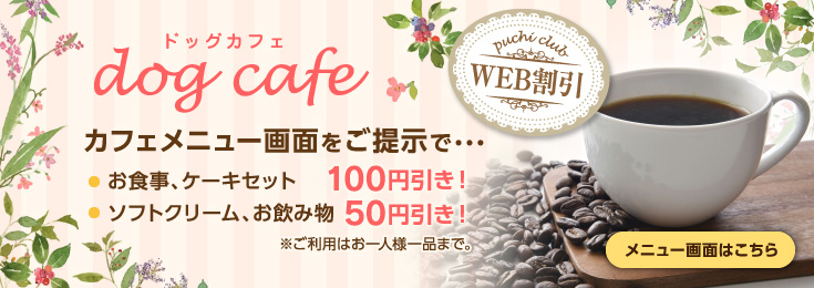 カフェ割引券