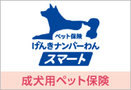 成犬用ペット保険