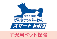 子犬用ペット保険