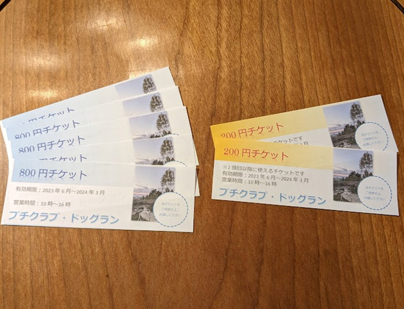 ticket