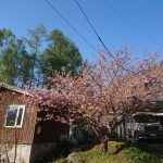 DSC_3076.JPG