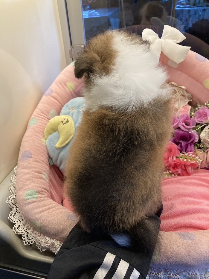 サムネイル画像2