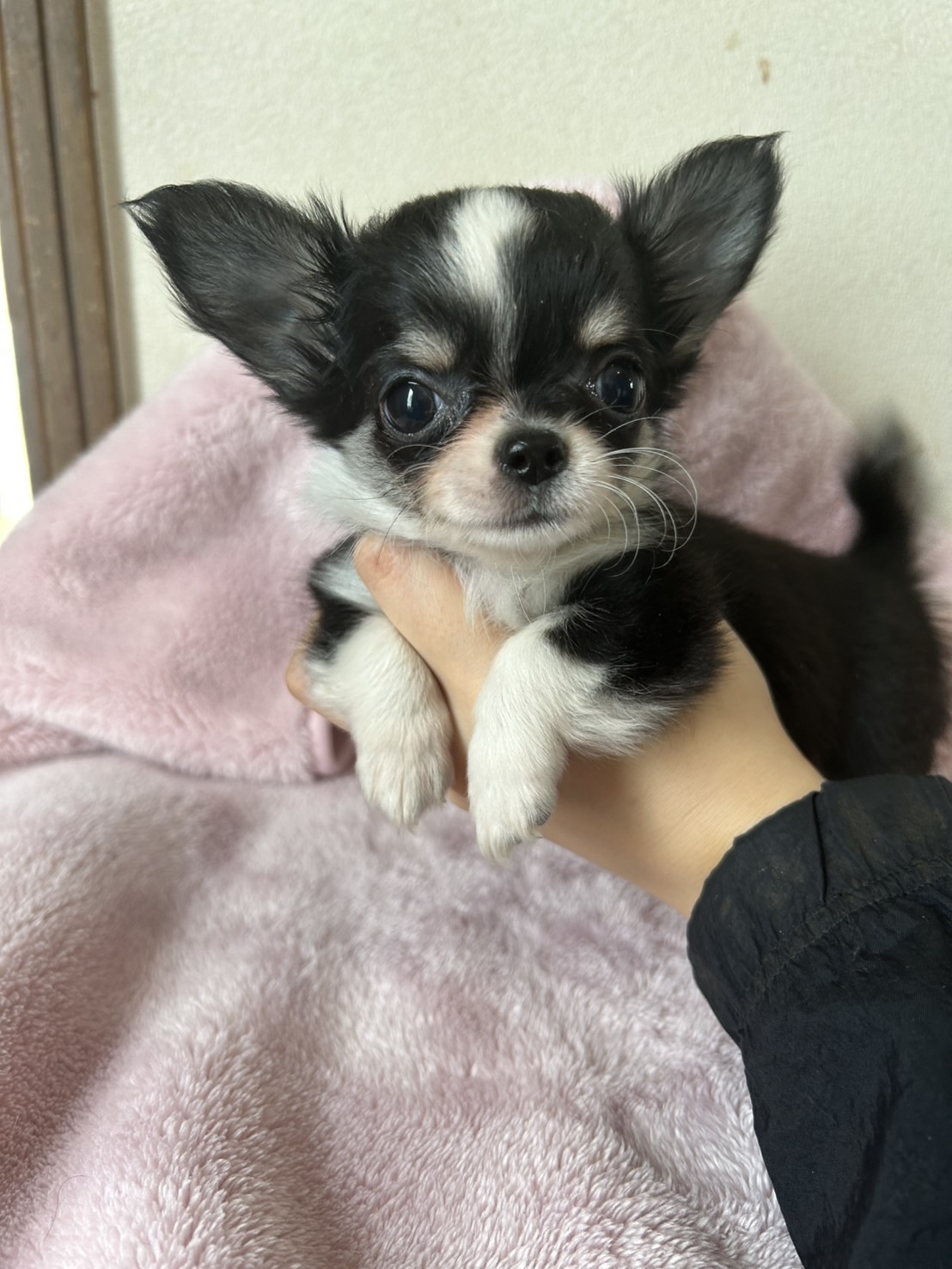 サムネイル画像2