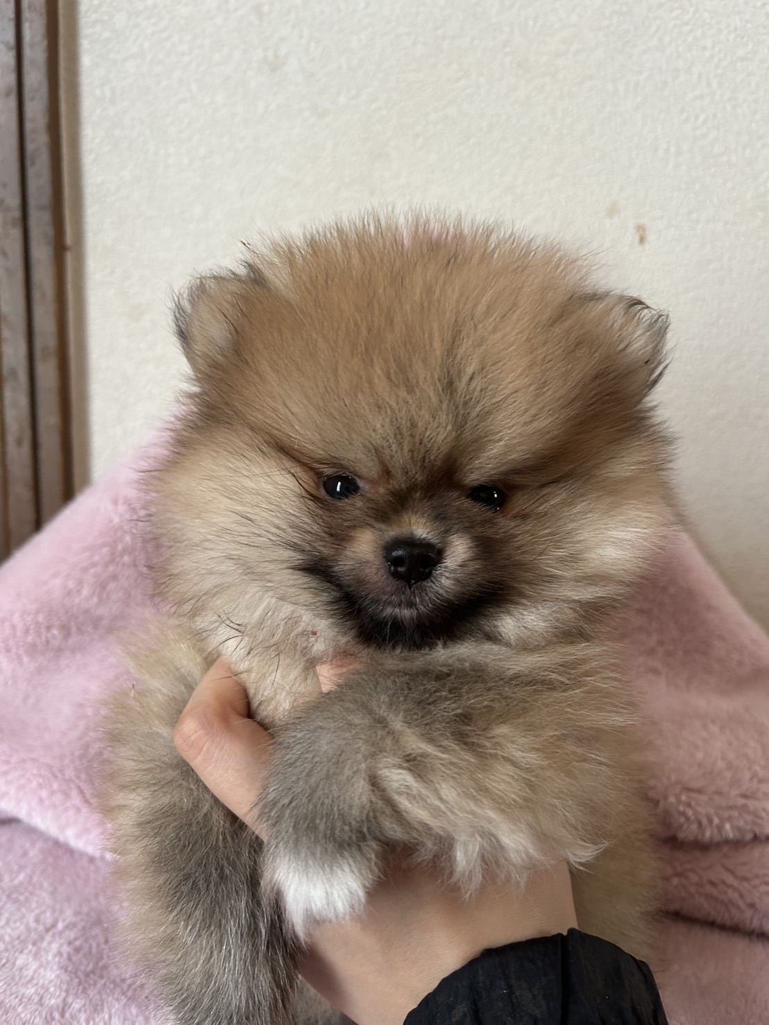 サムネイル画像2