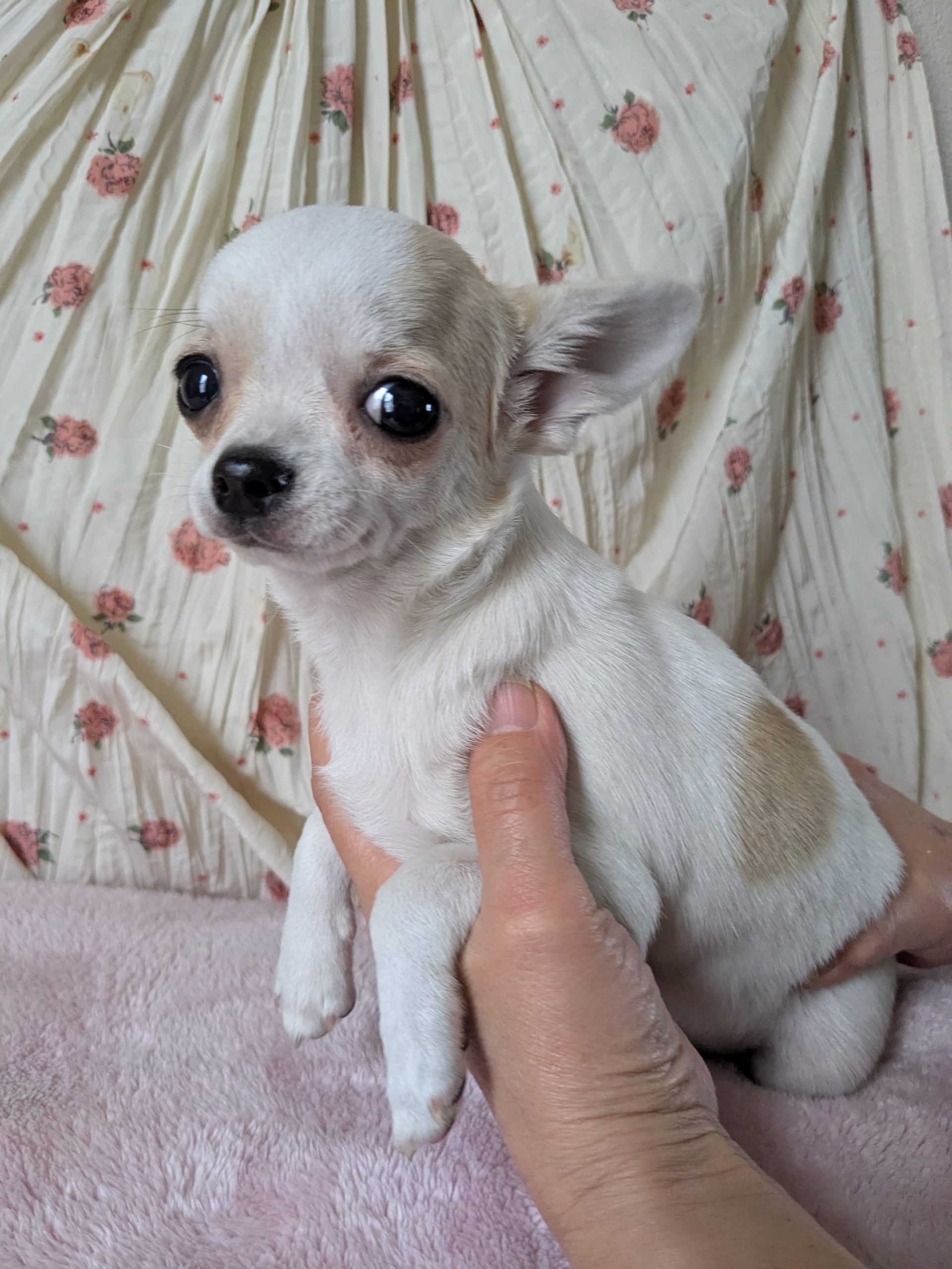 サムネイル画像2