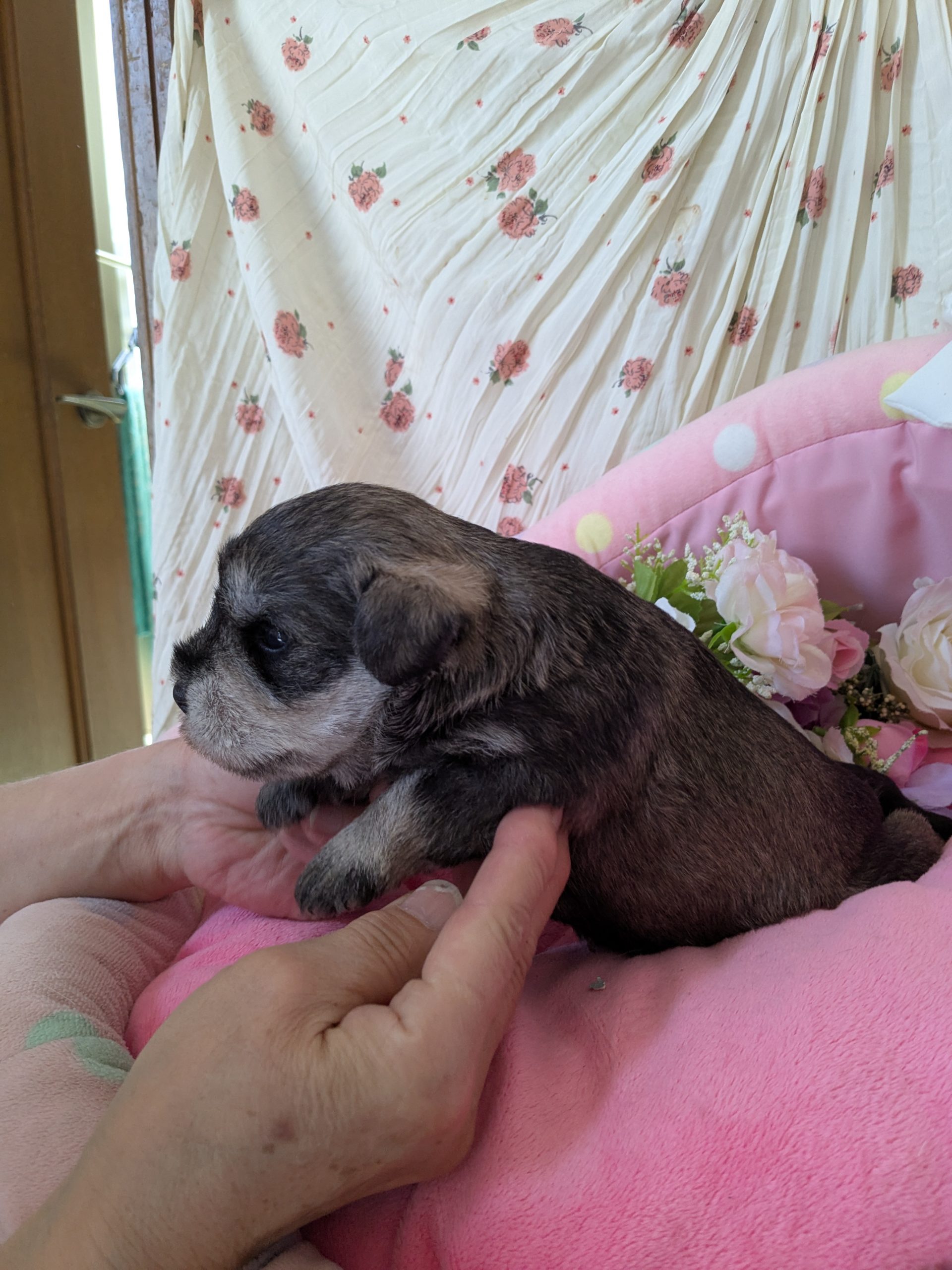 サムネイル画像2