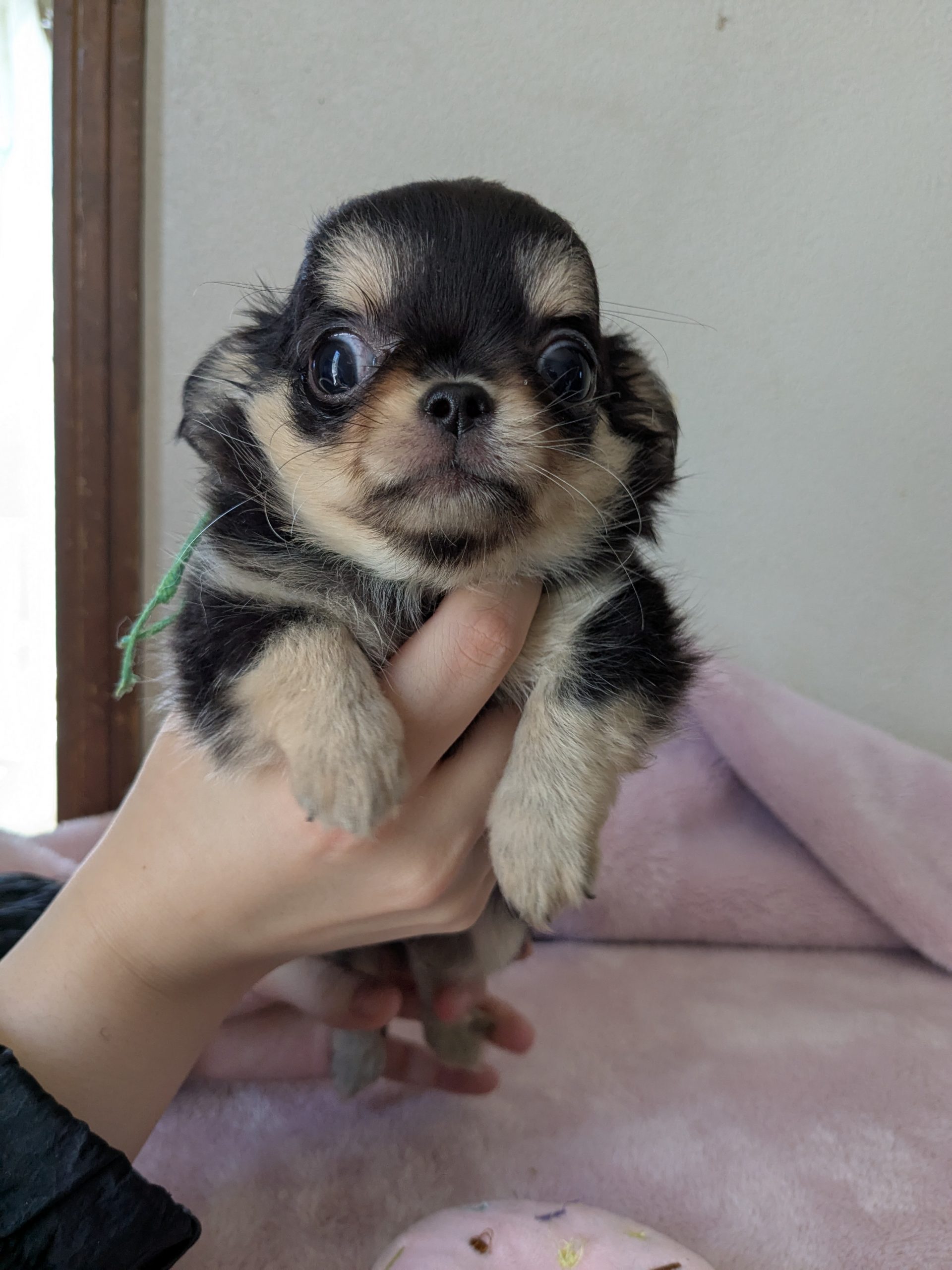 サムネイル画像2