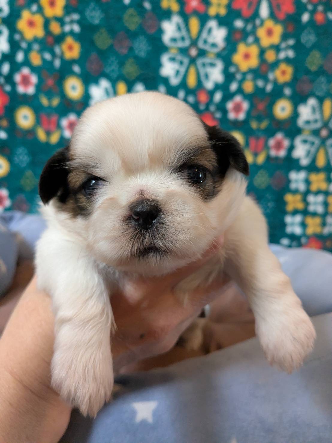 サムネイル画像2