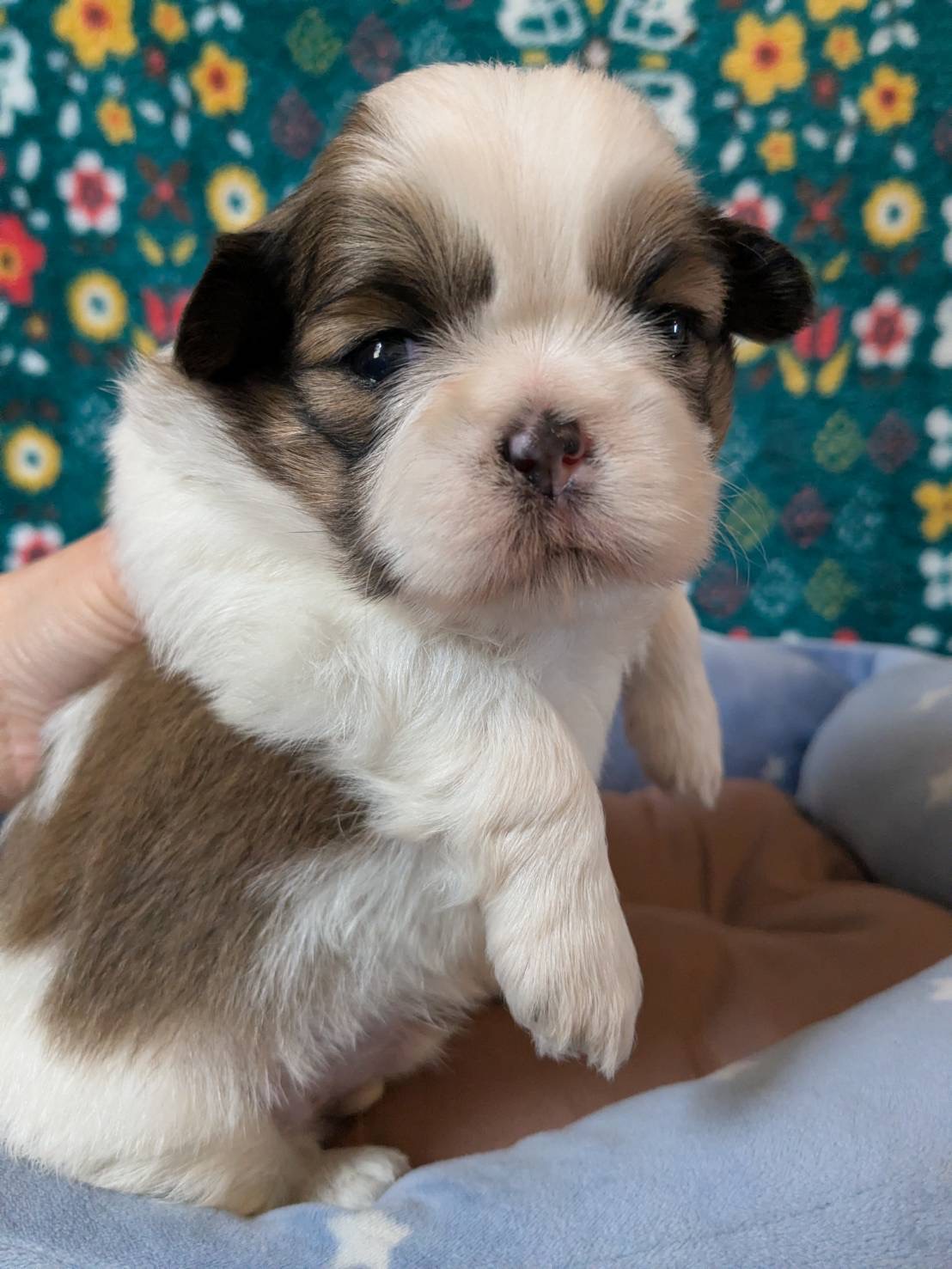 サムネイル画像2