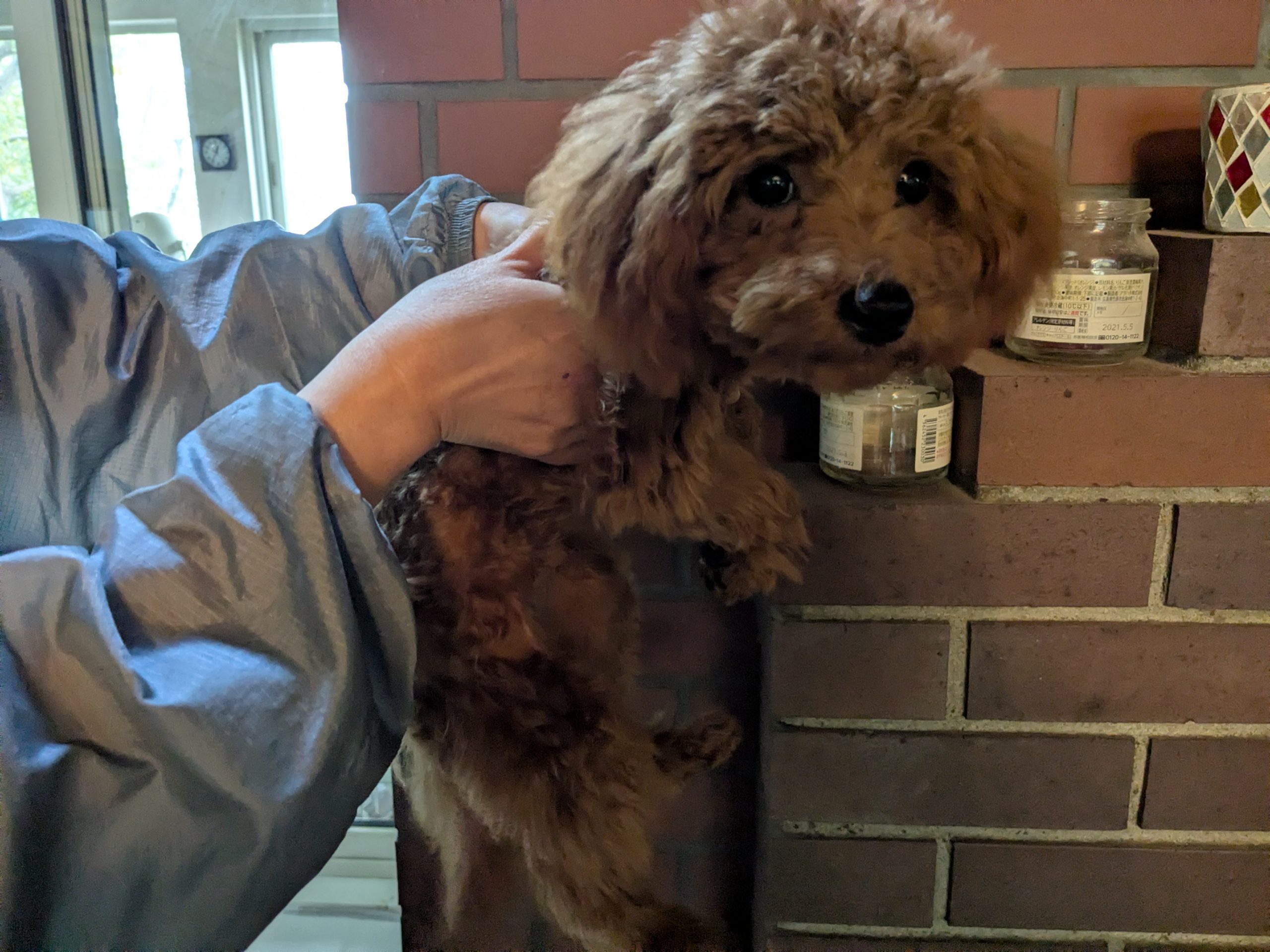 サムネイル画像2