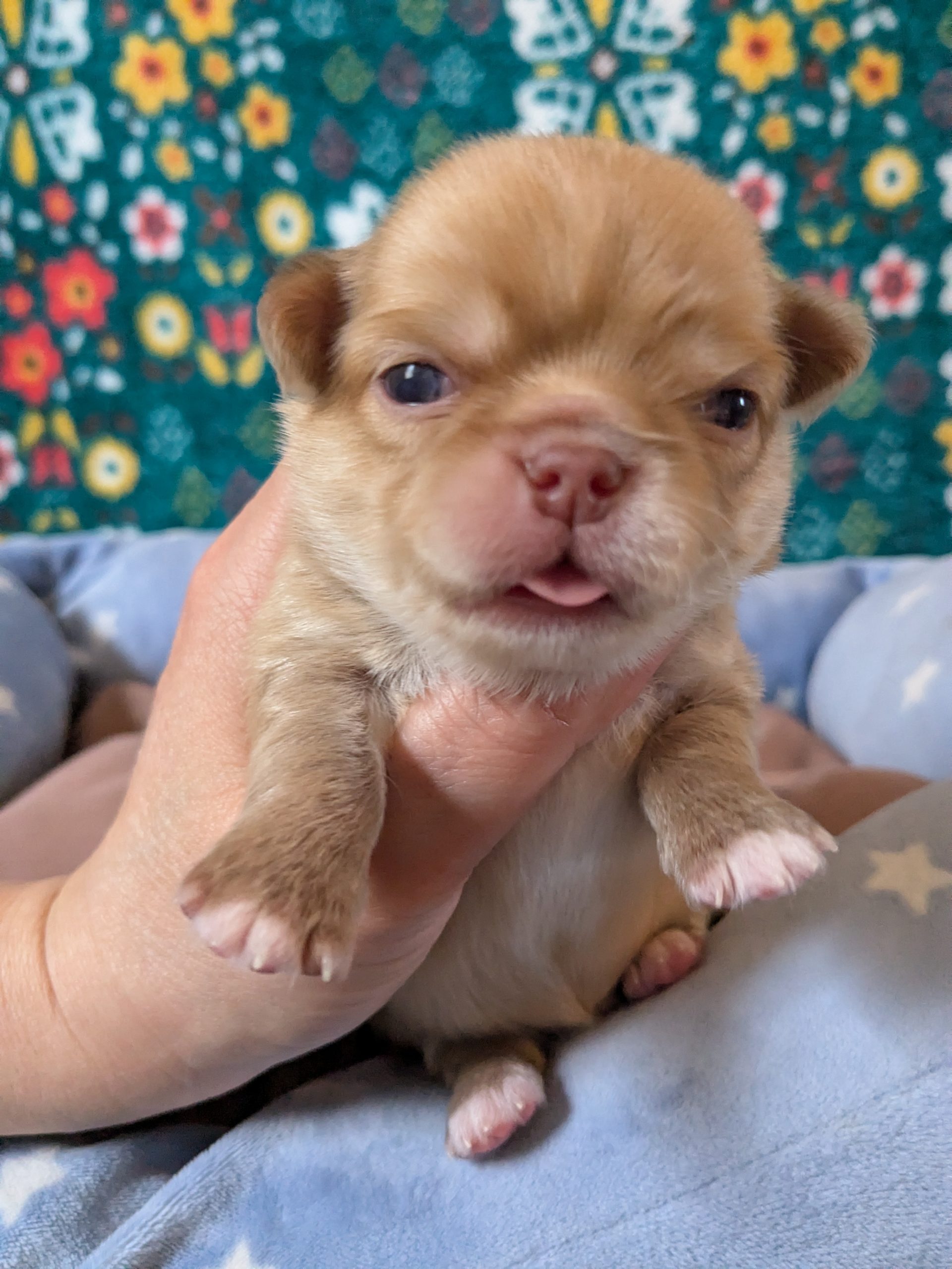 サムネイル画像2