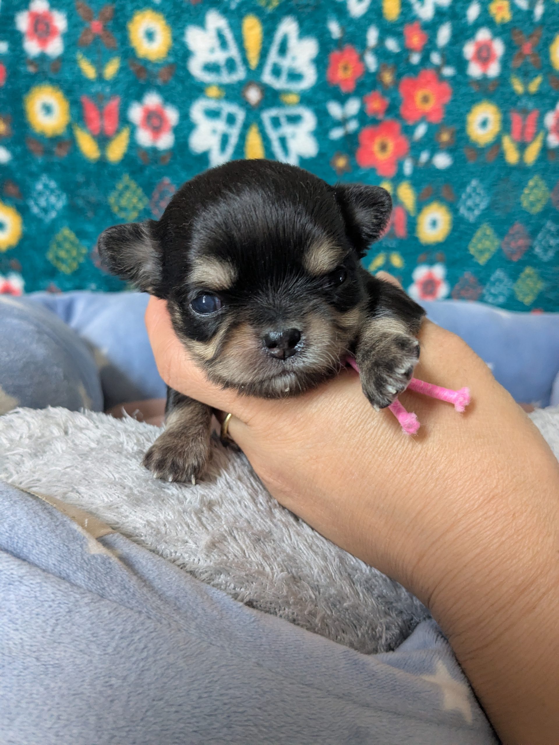 サムネイル画像2