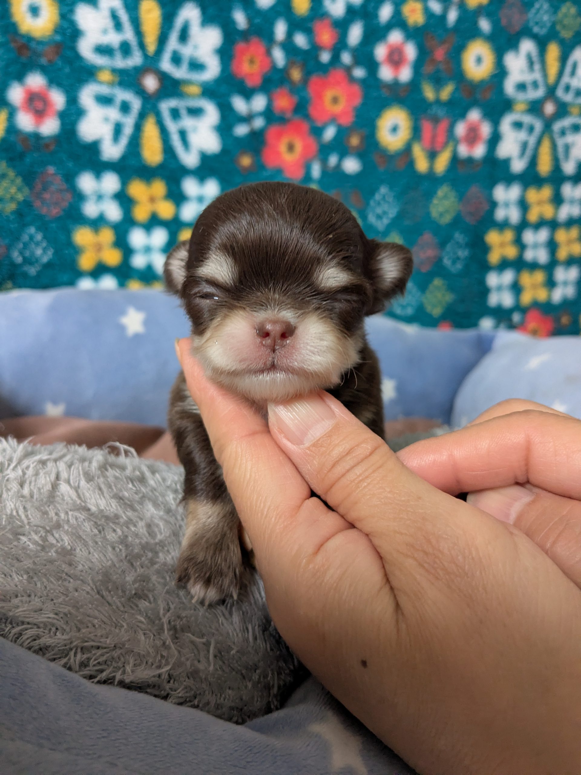 サムネイル画像2