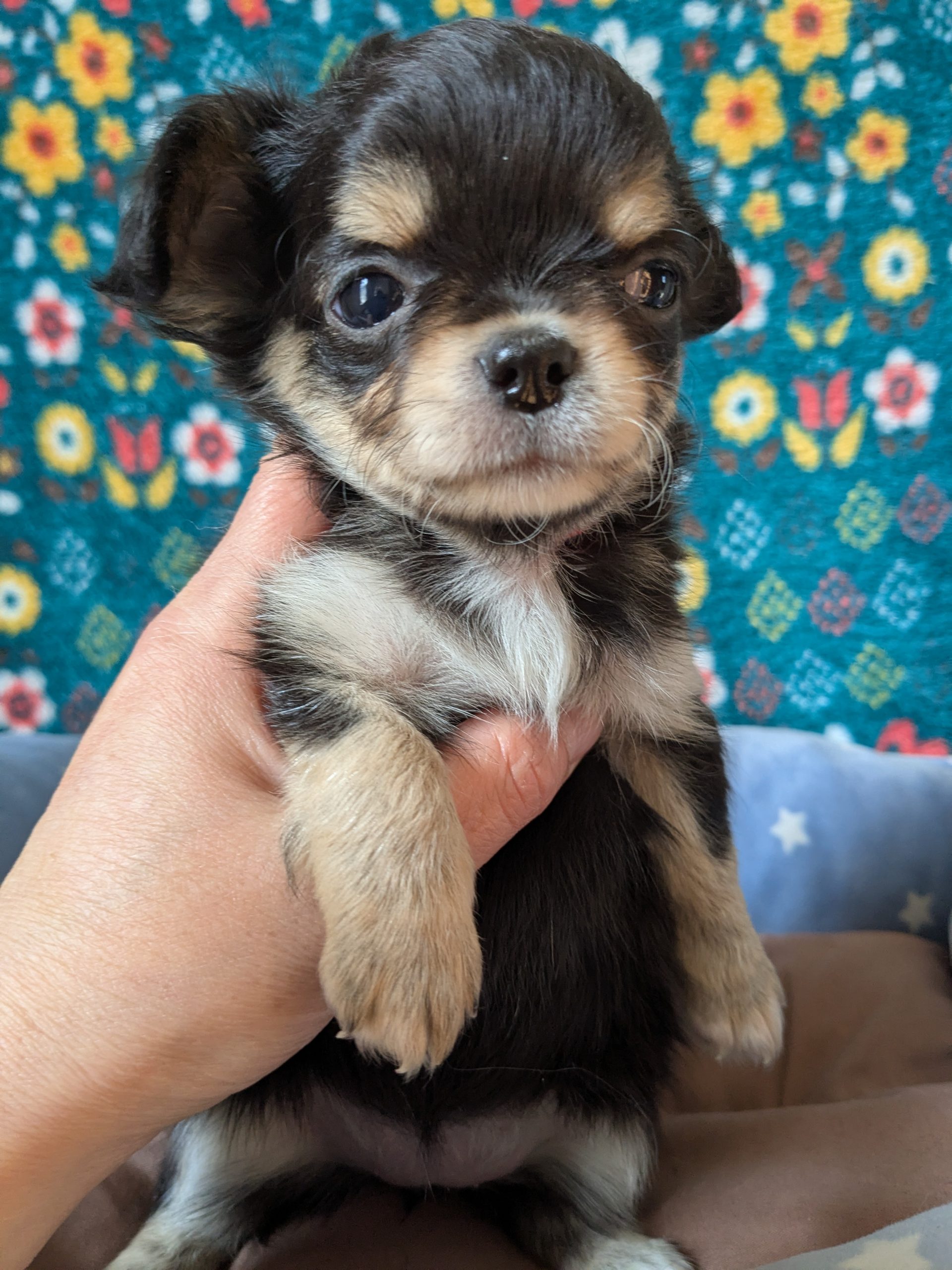 サムネイル画像2