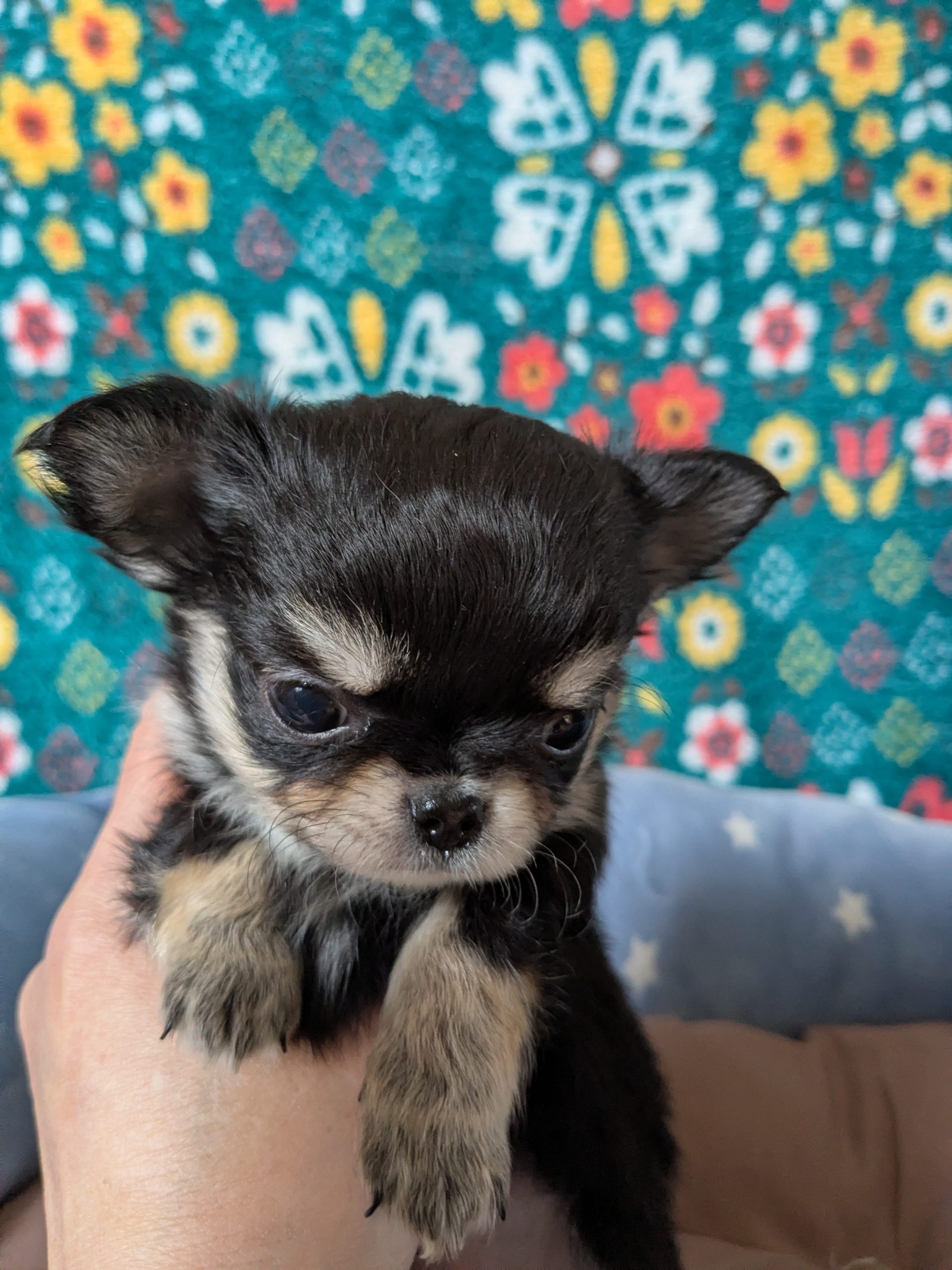 サムネイル画像2