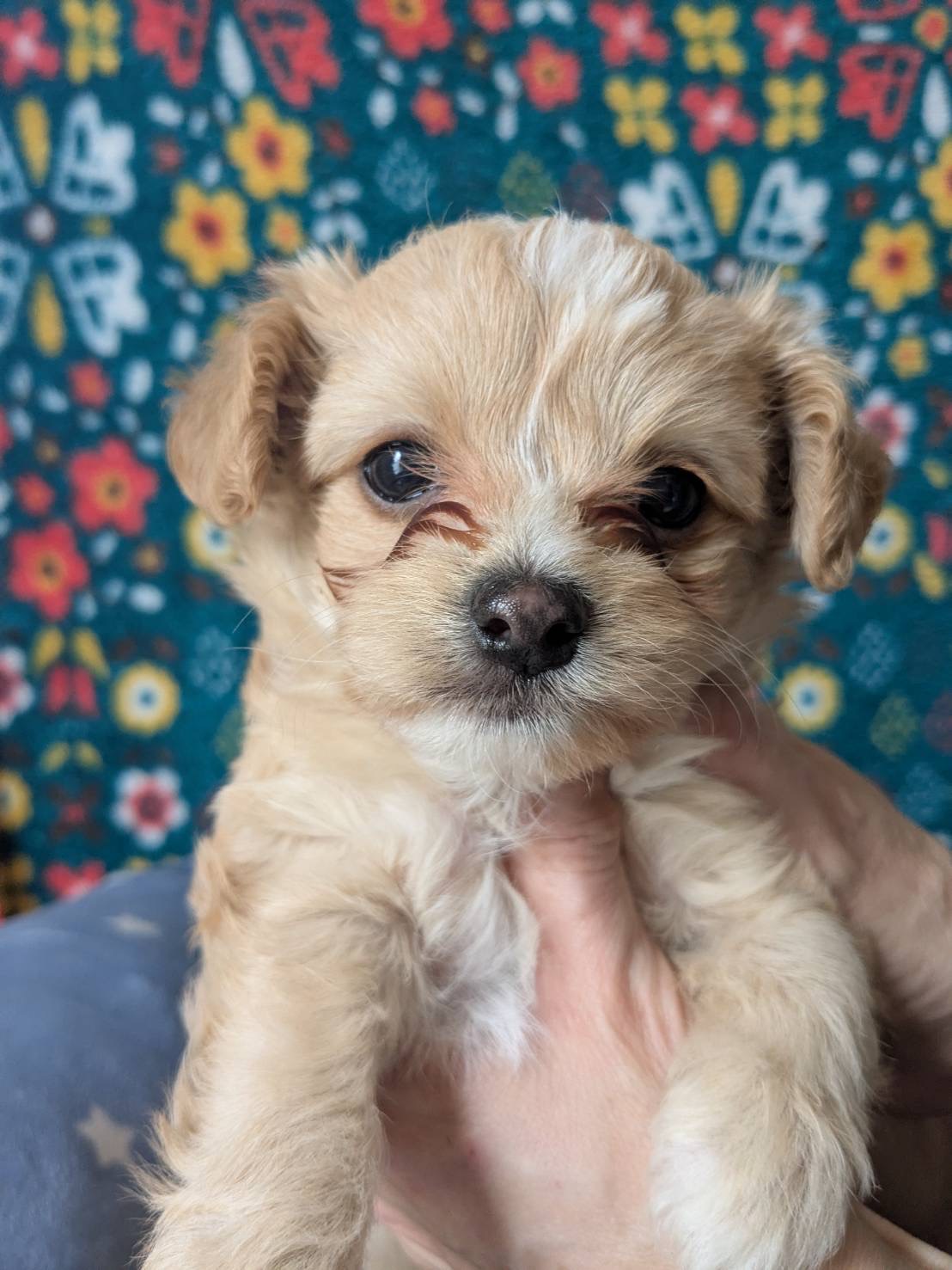 サムネイル画像2