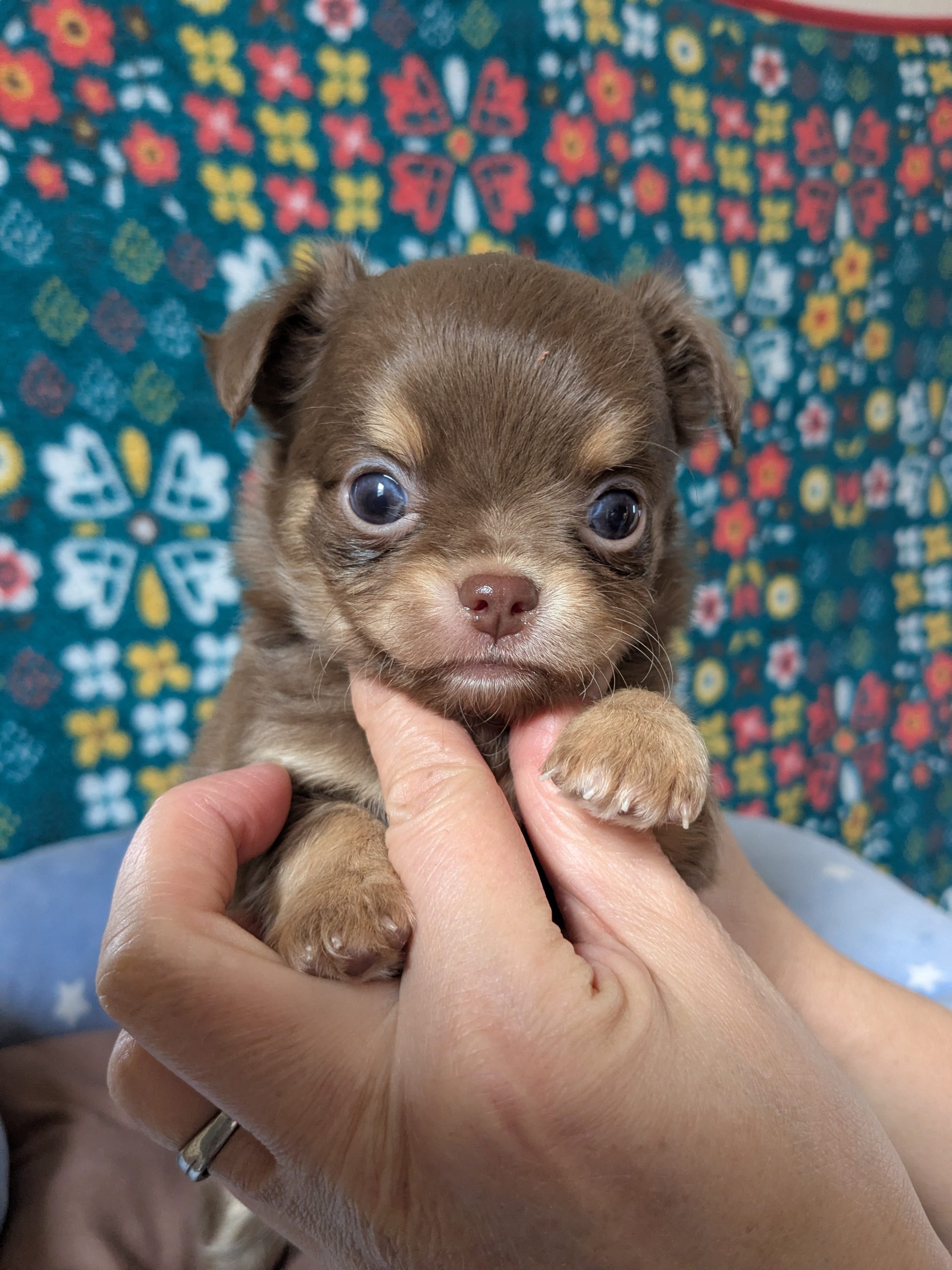 サムネイル画像2