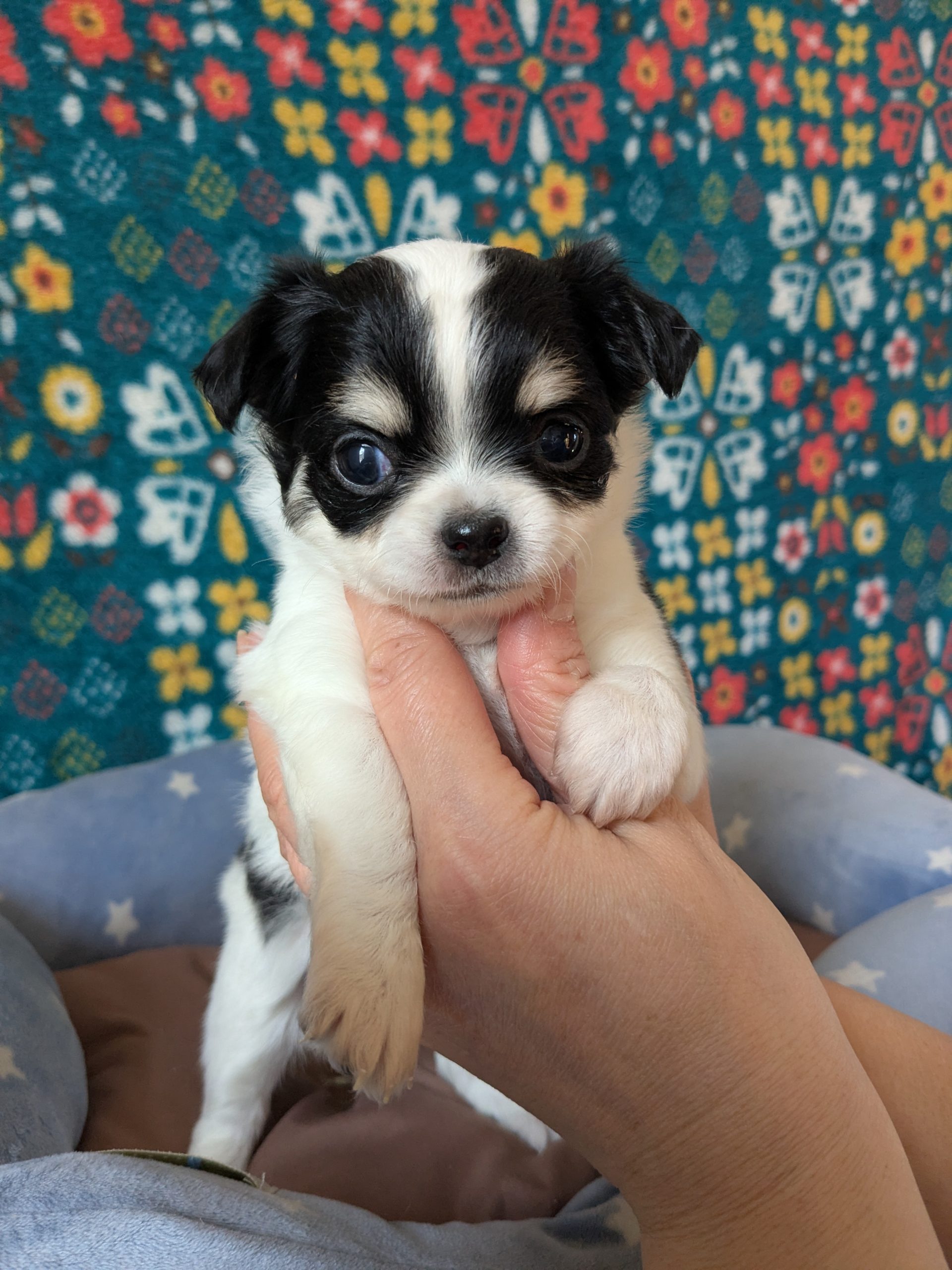 サムネイル画像2