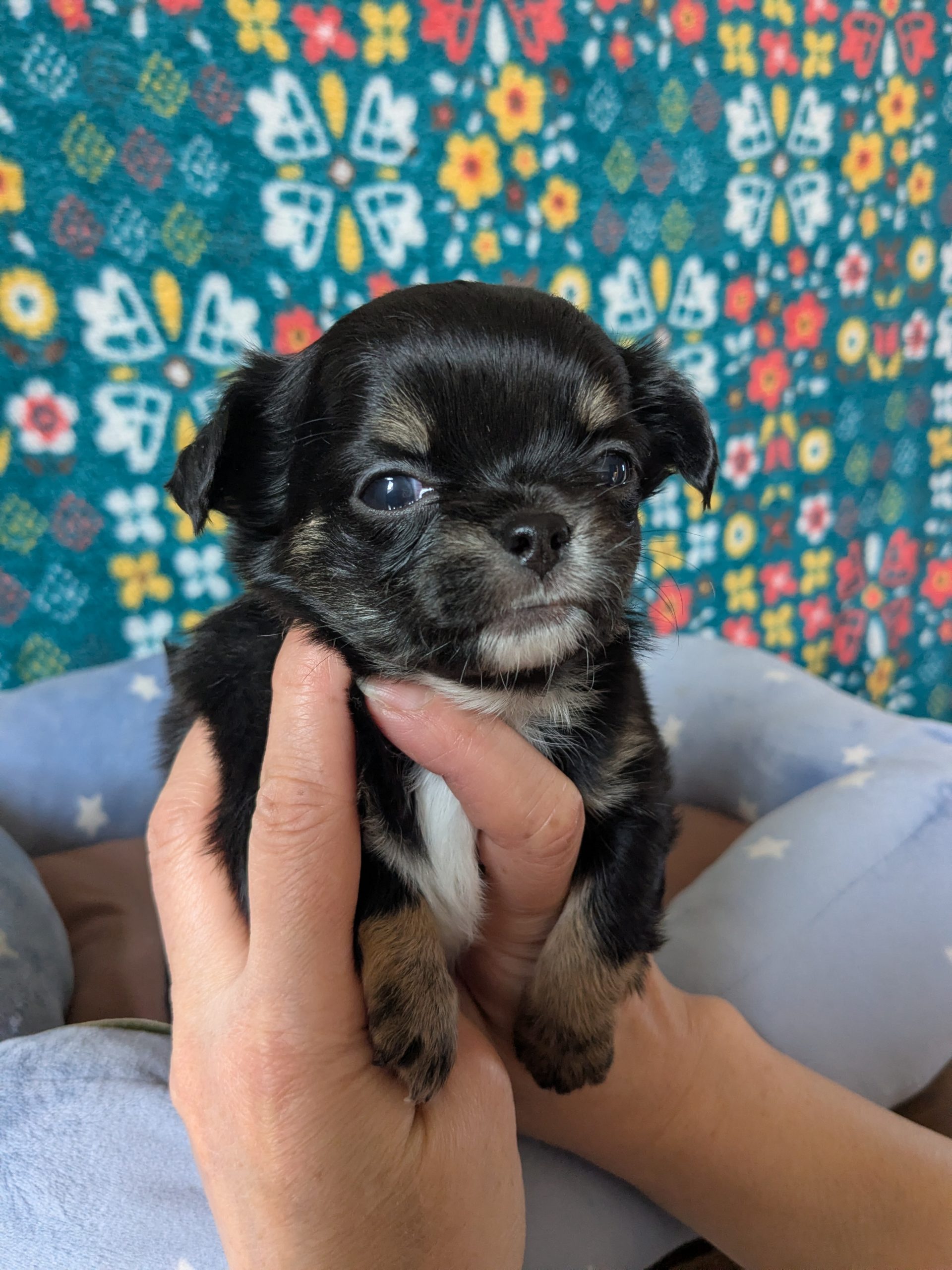 サムネイル画像2