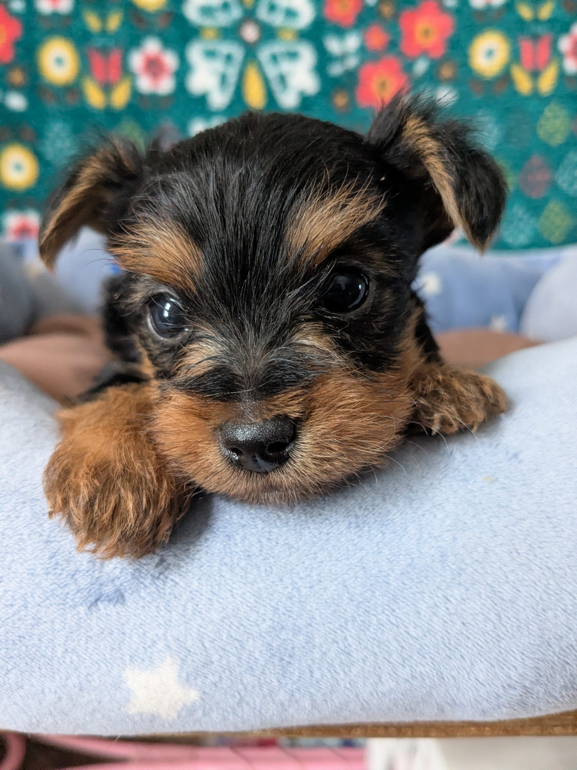 サムネイル画像2