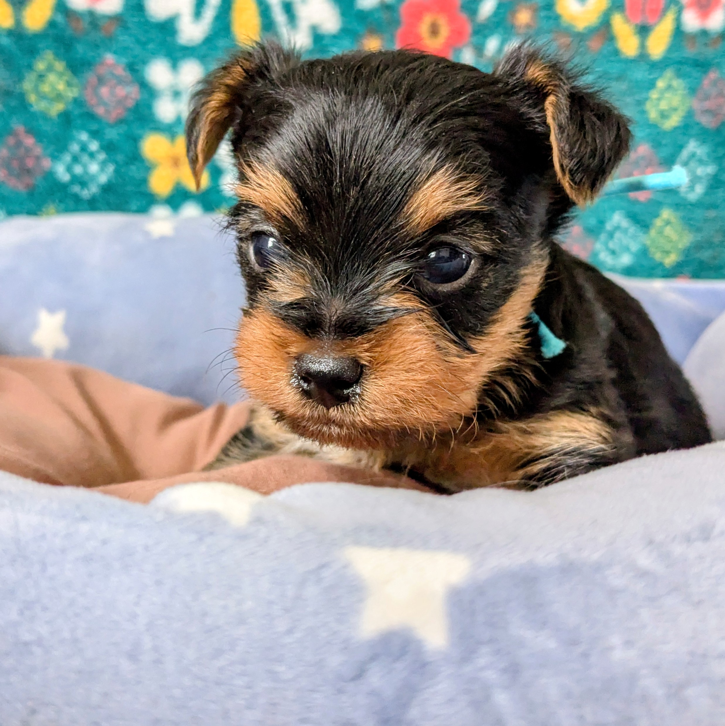 サムネイル画像2