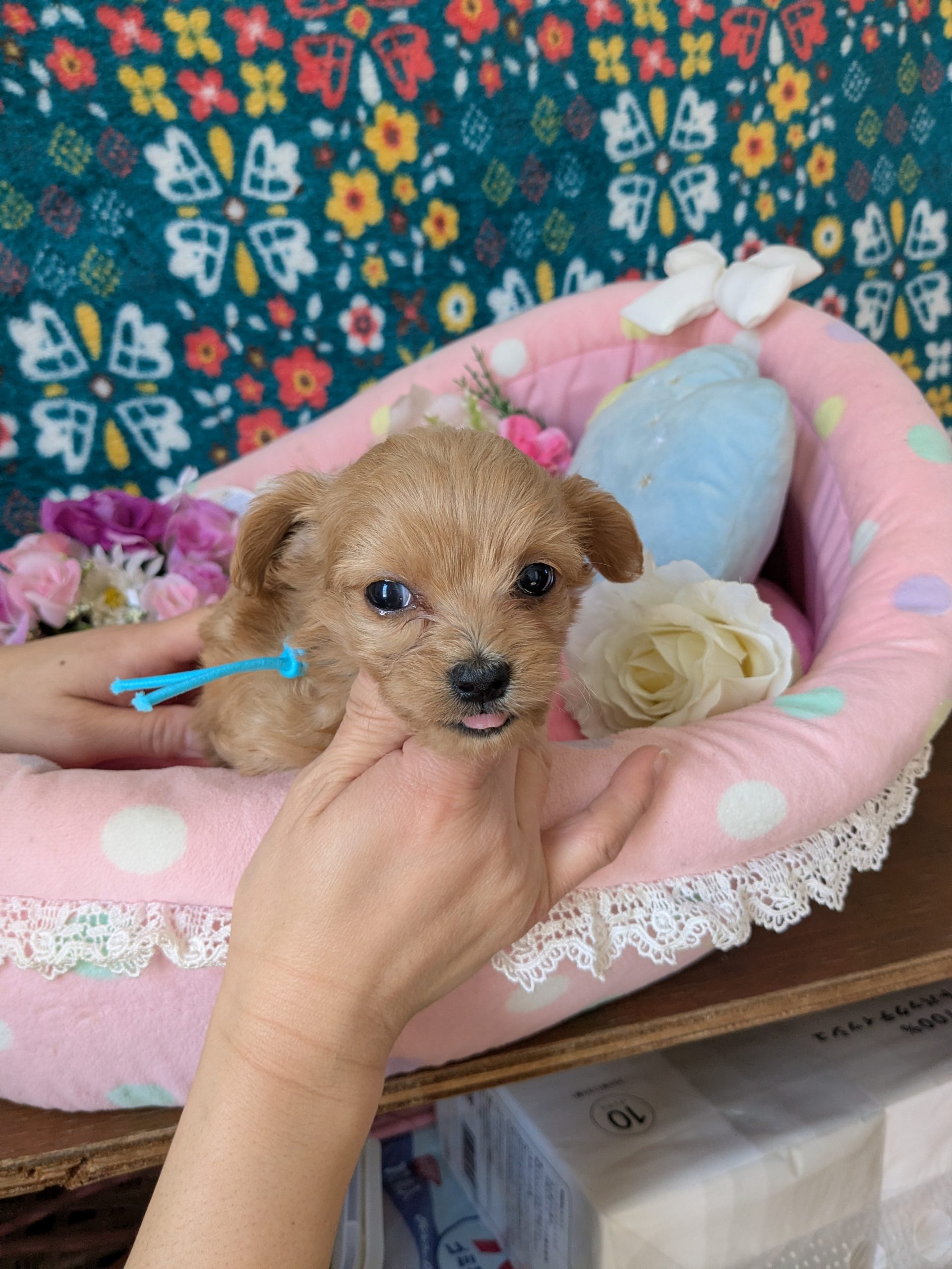 サムネイル画像2