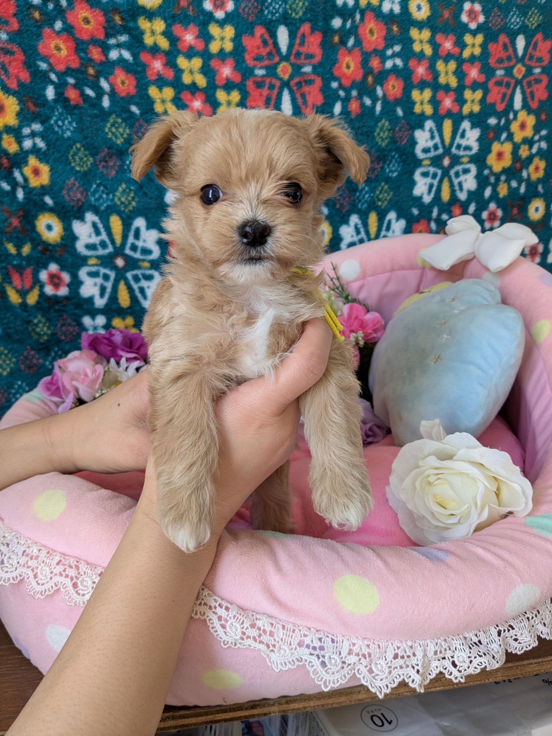 サムネイル画像2